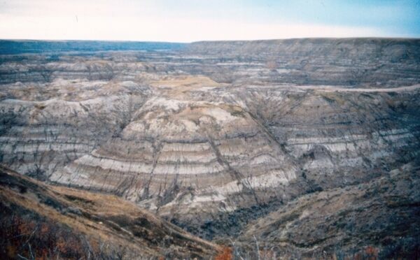 Horseshoe Canyon Formation exposed in Horseshoe Canyon near Drumheller, Alberta.  Photo by Anky-man